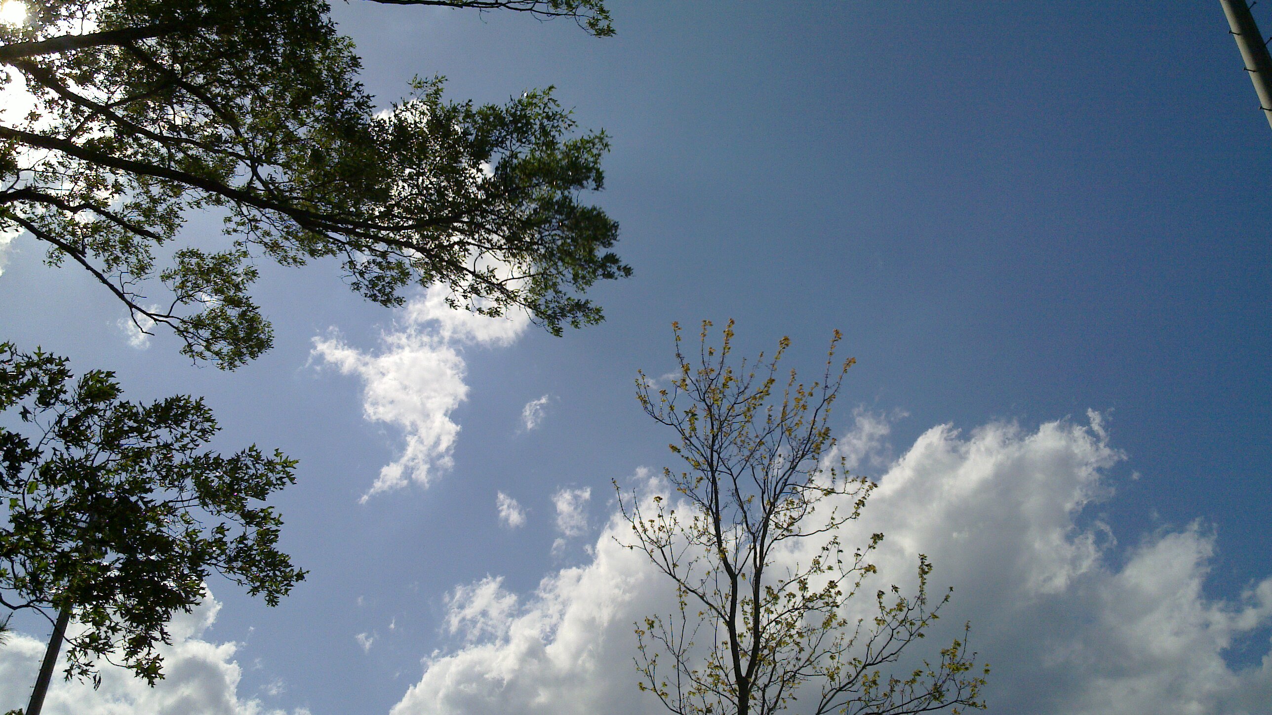 20100425_011.jpg